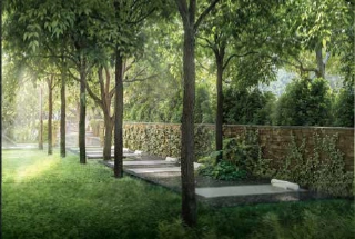 Mediatation And Yoga Deck